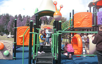 custom playground